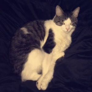 Meet your Posher, Jaiden